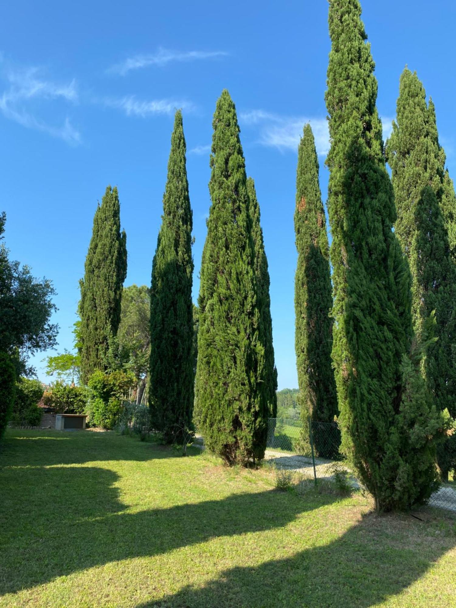 Villa Tre Colli - In The Heart Of Tuscany Certaldo Exterior foto