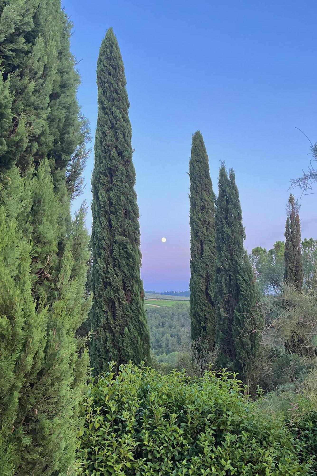 Villa Tre Colli - In The Heart Of Tuscany Certaldo Exterior foto